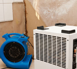 Example content image using the class .alignleft